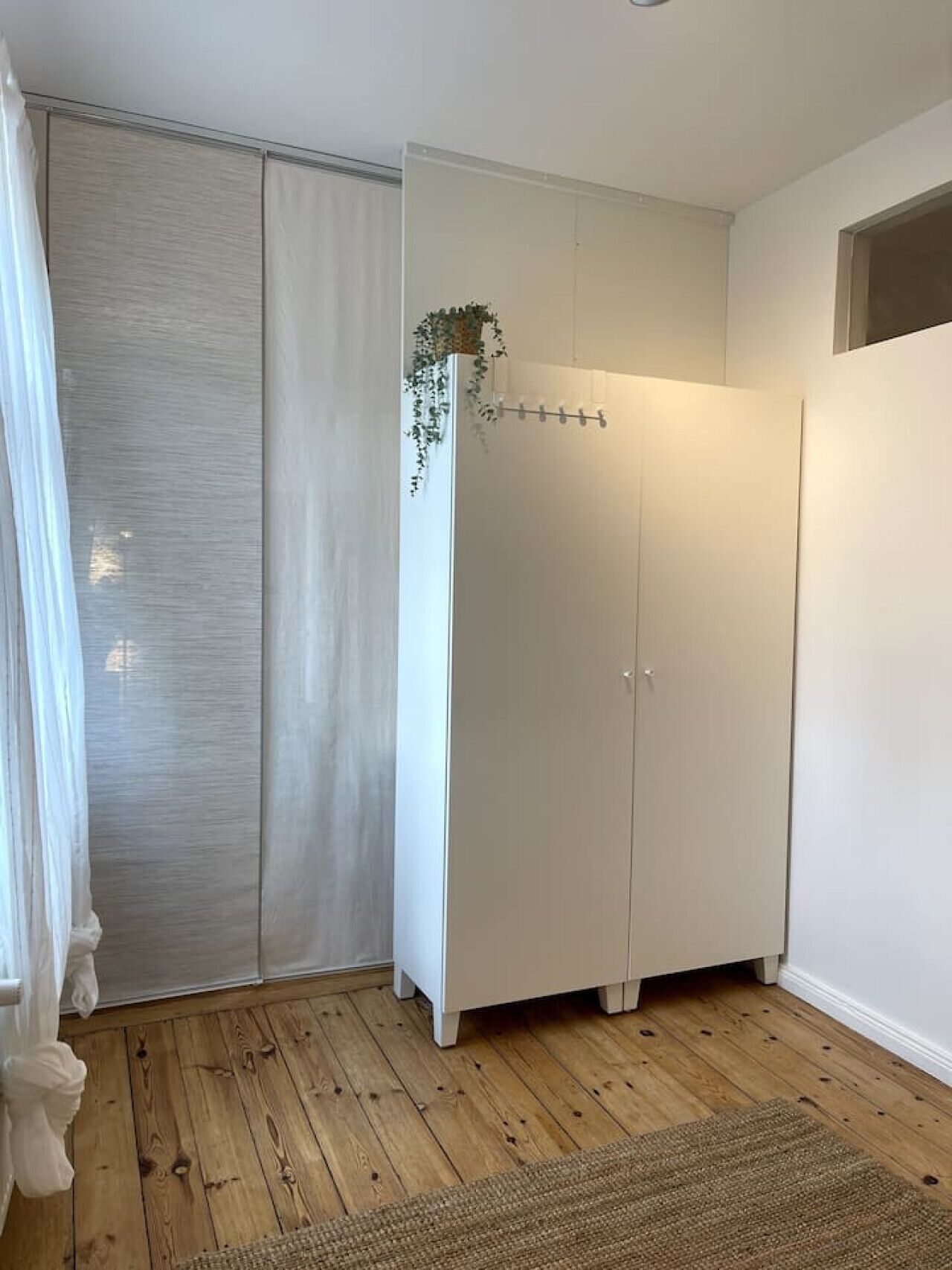 A room with a wooden floor, a white wardrobe, and a hanging plant.
