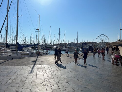 5-star villa with pool at Maison de France 
