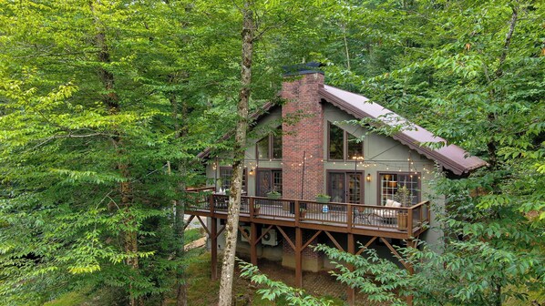Property grounds - Fern Leaf Lodge (Banner Elk)