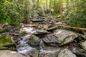 A natural stream flowing over rocks in a forested area. - The Dog House (Boone)