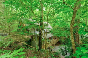 Exterior - The Dog House (Boone)