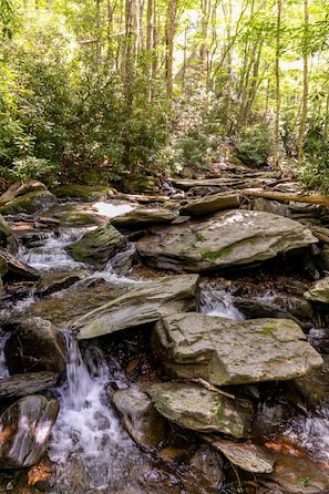 A natural stream flowing over rocks in a forested area. - The Dog House (Boone)