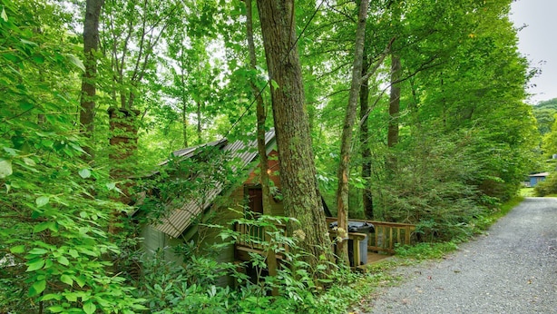 Property grounds - The Dog House (Boone)