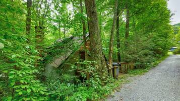 Khuôn viên nơi lưu trú