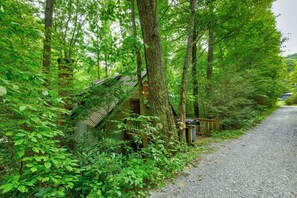 Property grounds - The Dog House (Boone)