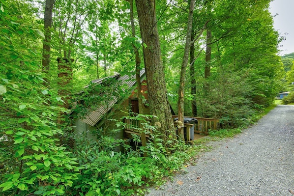 Property grounds - The Dog House (Boone)