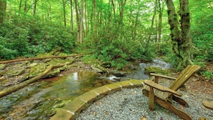 A forested area with a small stream and a wooden chair near the water. - The Dog House (Boone)