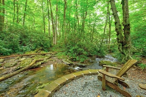 A forested area with a small stream and a wooden chair near the water. - The Dog House (Boone)