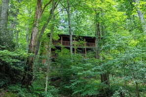 Exterior - Draggin Fly (Vilas)