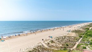 Una playa extensa con una cerca que separa la arena de la vegetación.