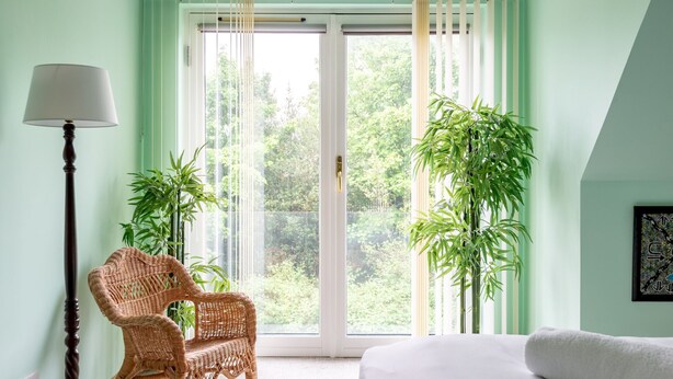 A room with a bed, a wicker chair, a floor lamp, and two potted plants near a sliding glass door. - Kinnessburn Villa (St Andrews)