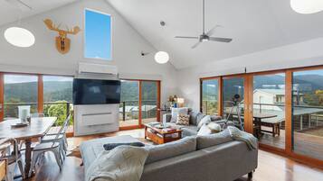 Smart TV, fireplace, books