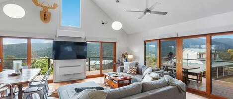 Smart TV, fireplace, books