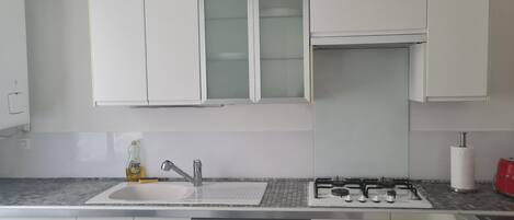 Frigorífic, microones, forn i placa de cuina