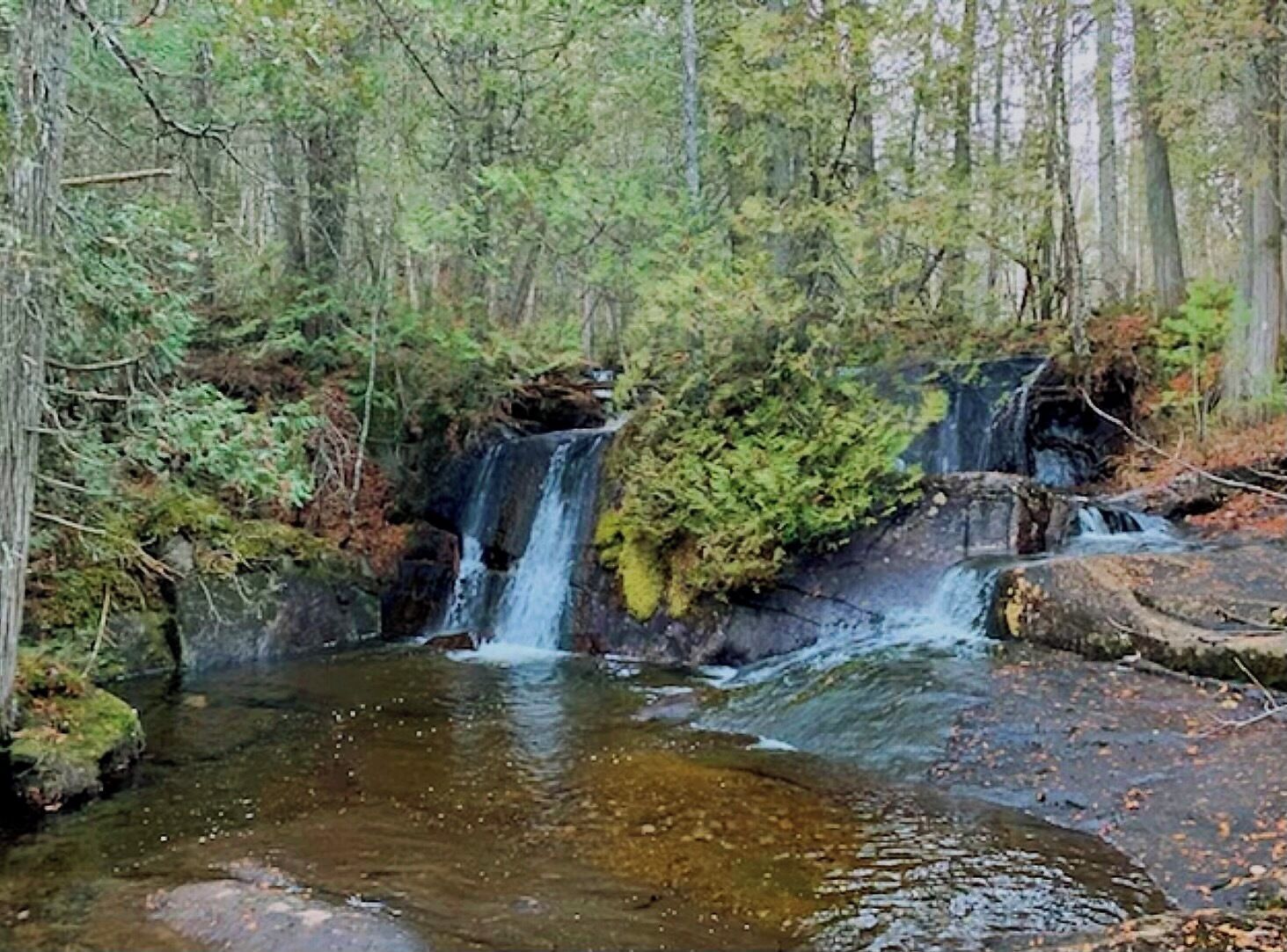 Una cascada en un área boscosa con un arroyo debajo.