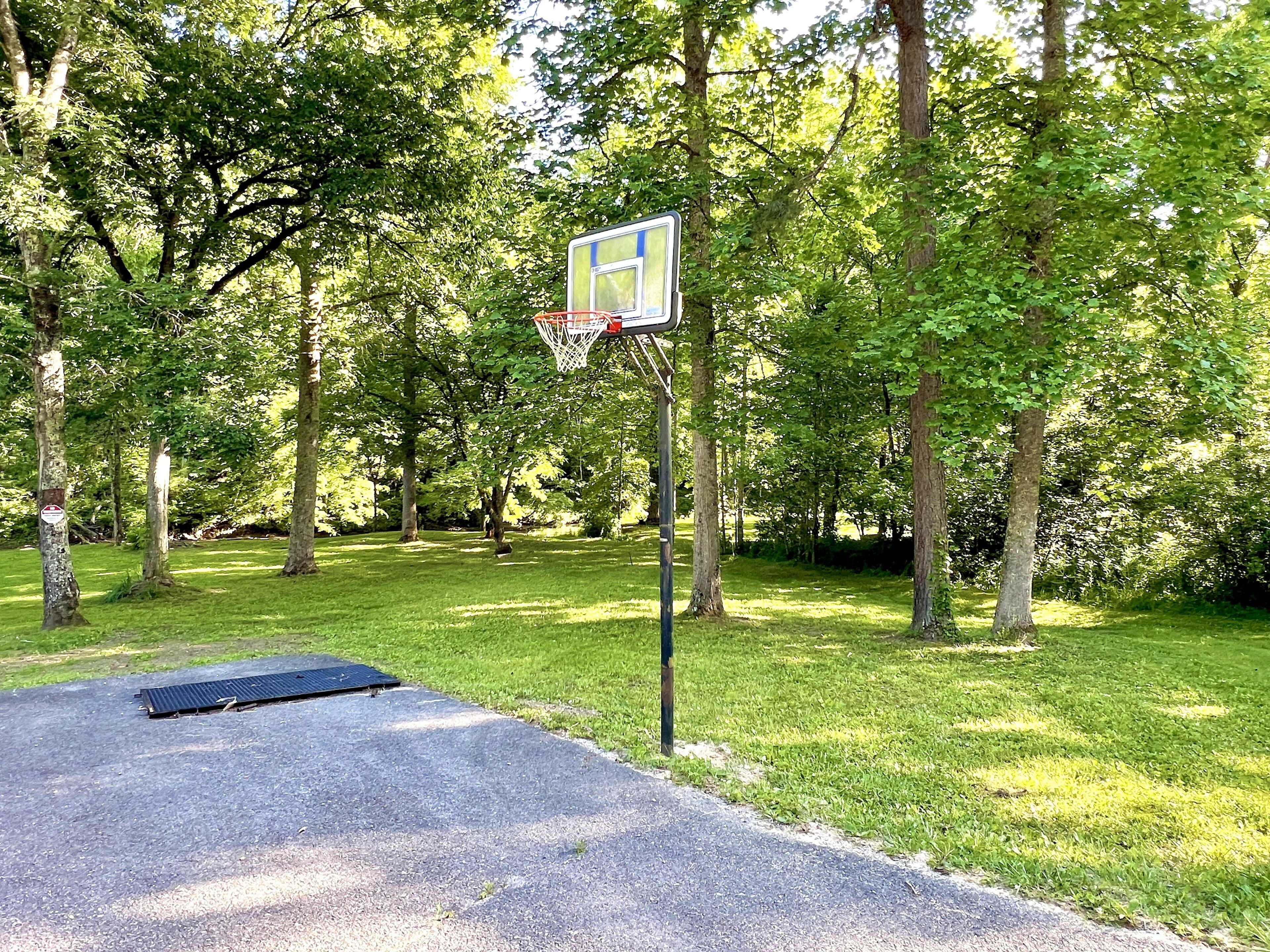 Een basketbalveld met een ring en een bord, omringd door bomen.
