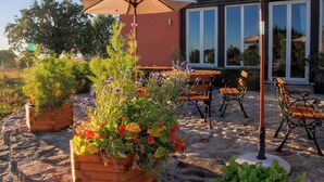 Un espace extérieur aménagé avec des bancs en bois et un grand parasol.