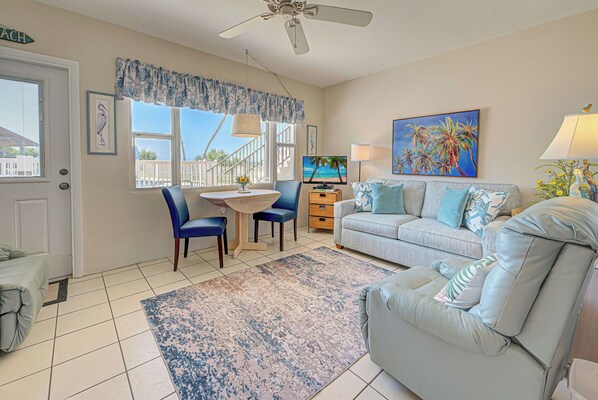 Smart TV, DVD player, books, video library
