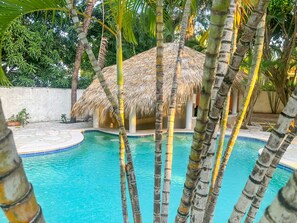 Outdoor pool - VIP - "Villa Infinito"Bani's Beachside Mansion! (Baní)