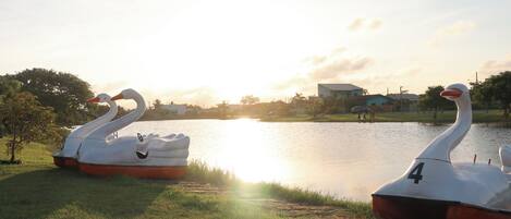 Two swan-shaped inflatable boats by a lake with a building in the background.
