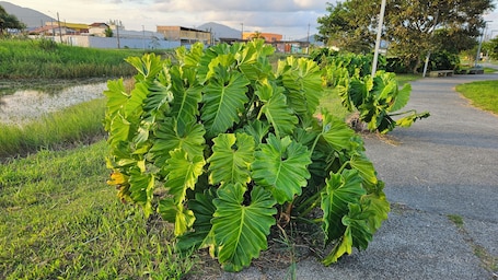 Exterior. Spazio Italia Apartamentos