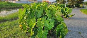 Spazio Italia Apartamentos