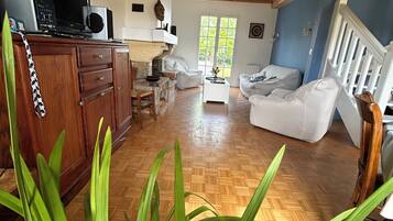 TV connectée, cheminée, livres, chaßne hi-fi