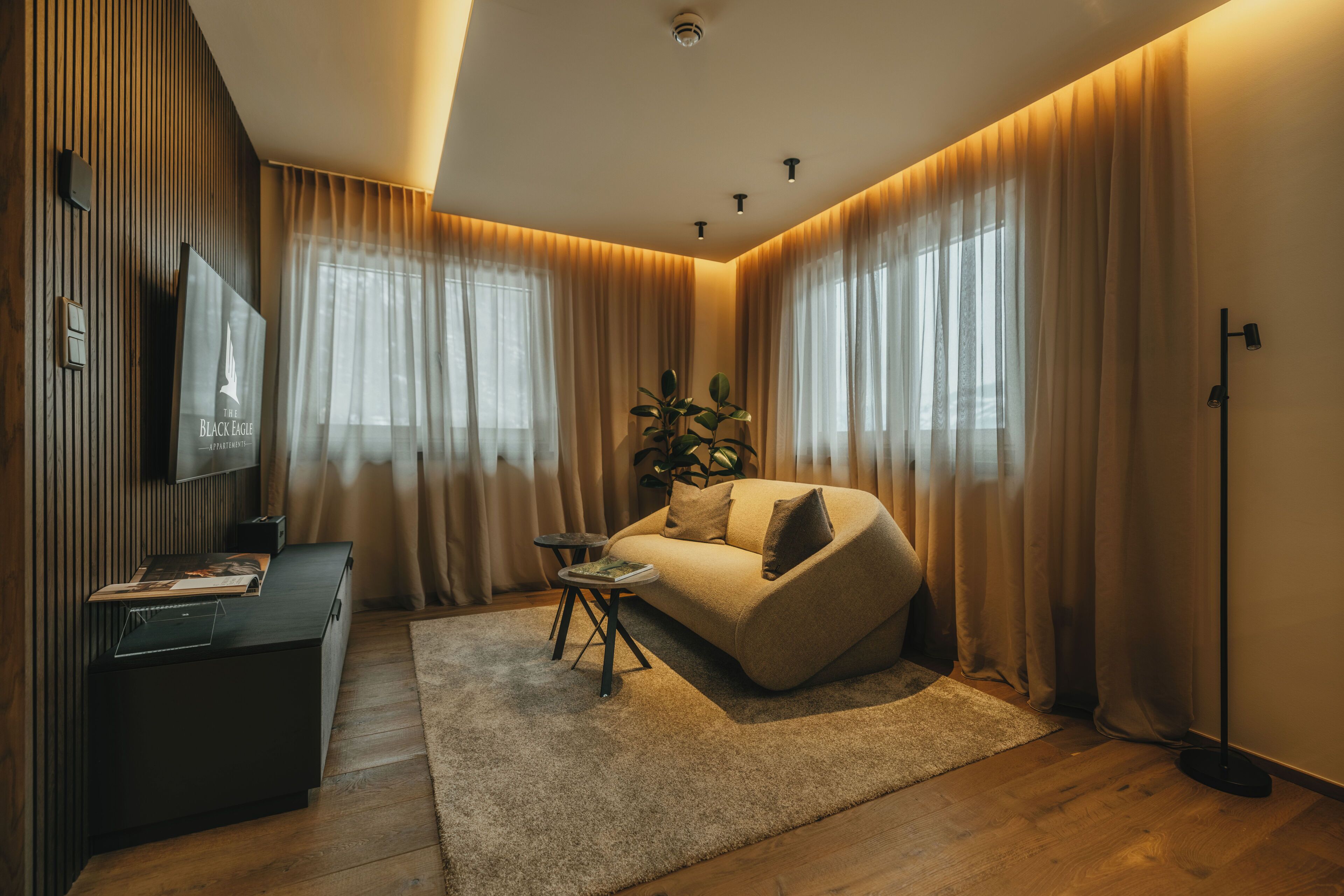 A modern living room with a sofa, a coffee table, a TV, and a plant.