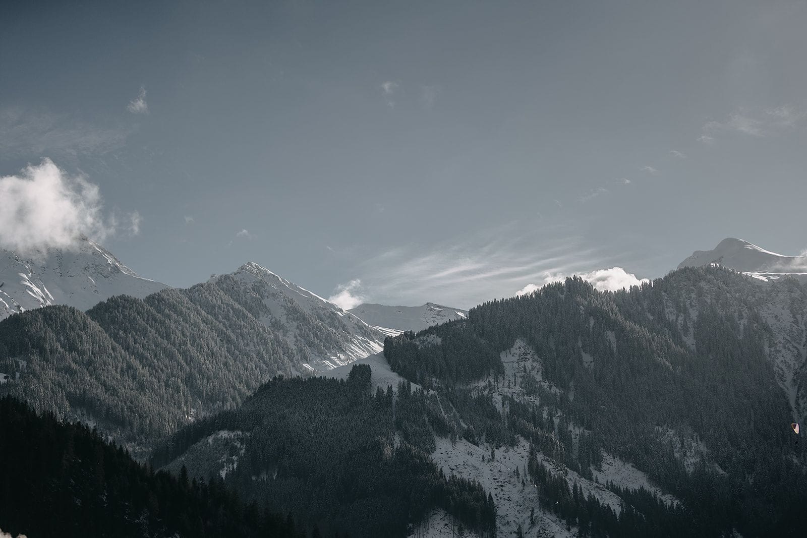 Un paisaje montañoso con bosques densos y cumbres nevadas.