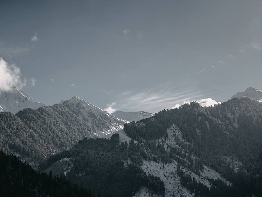 Un paisaje montañoso con bosques densos y cumbres nevadas.