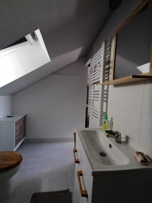 Hair dryer, towels, toilet paper - At the gateway to Sologne, Beauval zoo, Chambord castles, Cheverny golf course. (Sassay)