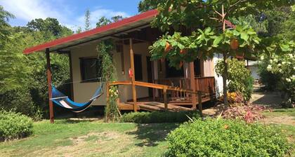 Stand-alone Studio Cabin w/ Kitchen, A/c, Porch, Pool Access, Wheelchair Access