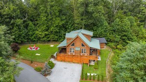 Une cabane en bois avec un toit vert, entourée d’une cour clôturée et d’une forêt dense.