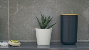A potted plant, a dark cylindrical container, and two round objects on a reflective surface against a textured wall. - Alemar in Kalithea With 1 Bedrooms and 1 Bathrooms (Kallithea)