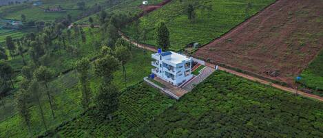 A modern building with a flat roof, surrounded by lush green tea plantations.