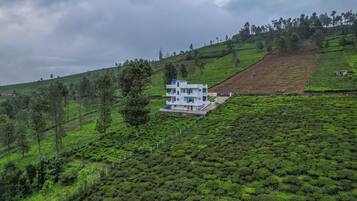 A white building with a blue roof on a hillside, surrounded by lush green tea plantations.