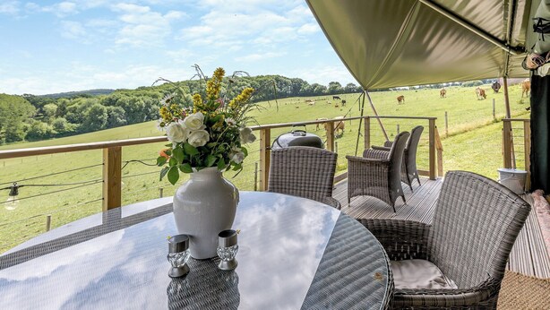 Een ronde tafel met een bloevas, twee glazen en een rieten stoel op een terras met uitzicht op een groen veld en koeien.