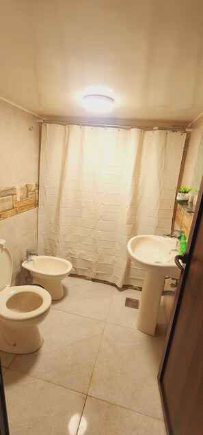 シャワー、ビデ、タオル、石鹸