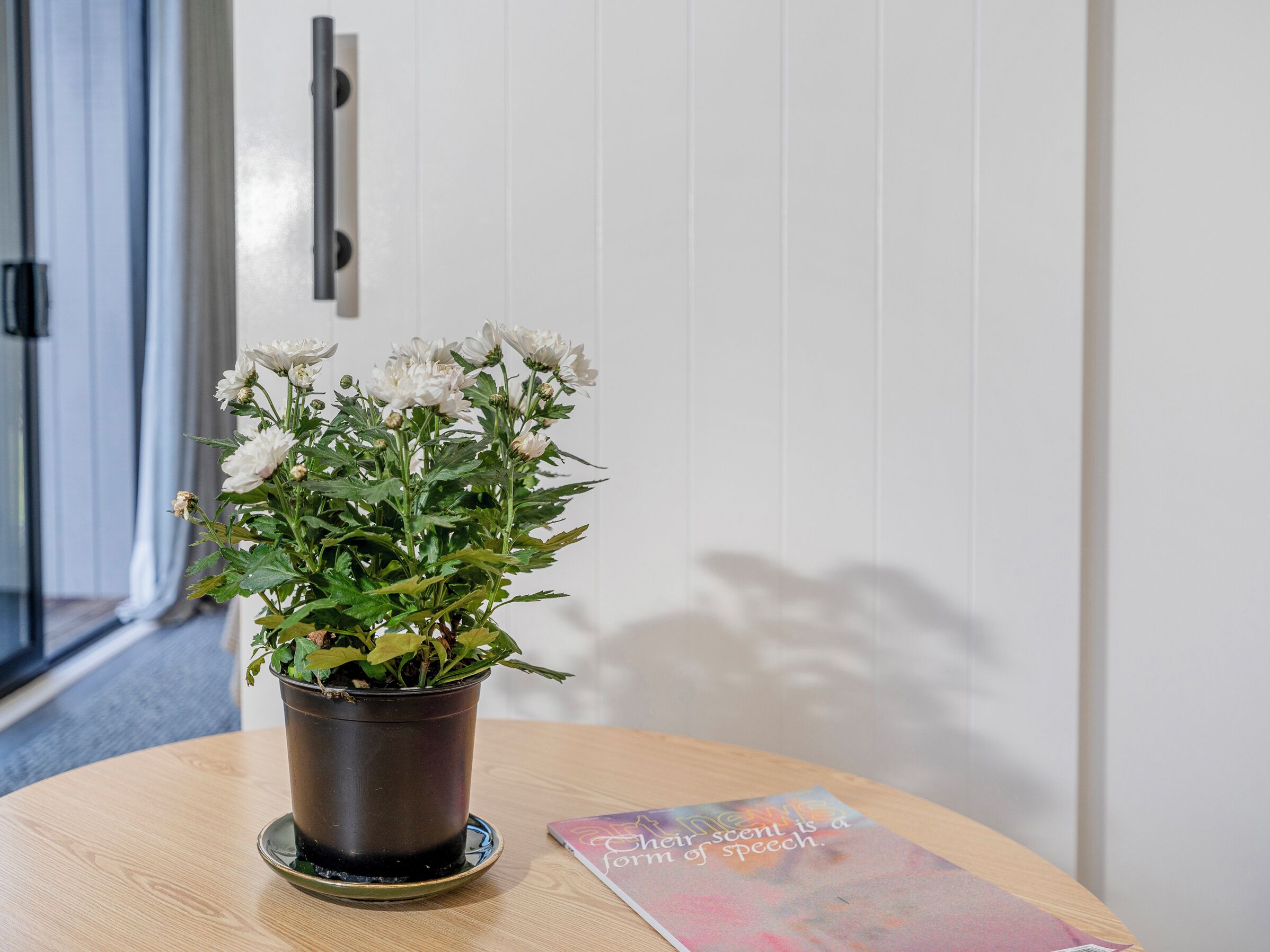 Una planta en maceta con flores blancas sobre una mesa redonda en una habitación con paredes blancas y una puerta al fondo.