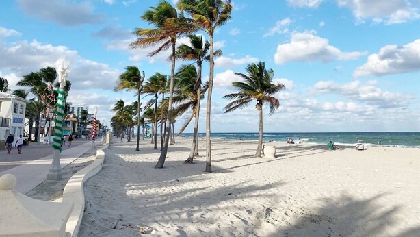 Ein Strand mit Palmen, blauem Himmel und einem Sandweg.