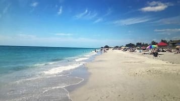 Chaises longues, serviettes de plage