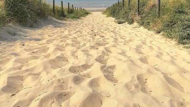 A sandy pathway leading to a beach with a clear sky.