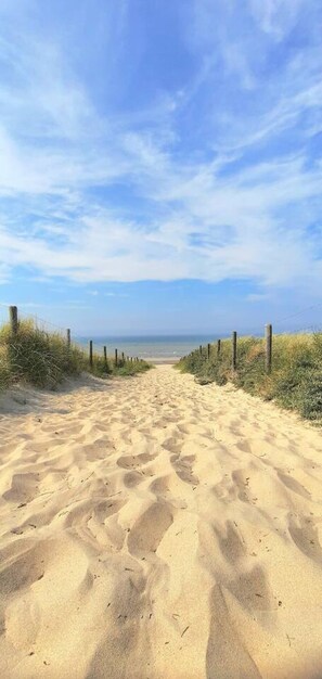 A sandy pathway leading to a beach with a clear sky.