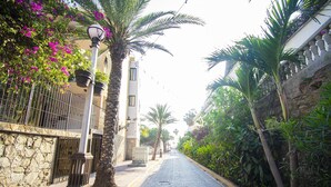 Eine Kopfsteinpflasterstraße gesäumt von Palmen und Bougainvillea-Blumen, die zu einem Gebäude mit einer Steinfassade und einem Metallgitter führt.