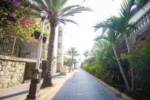 Property grounds - Sunsets every night- Olas Altas (Mazatlan)