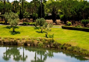Parco della struttura