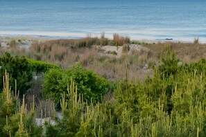 بالقرب من الشاطئ