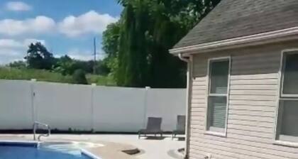 Camellia Springs - Solace & Rest