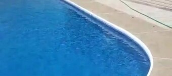 Camellia Springs - Solace & Rest