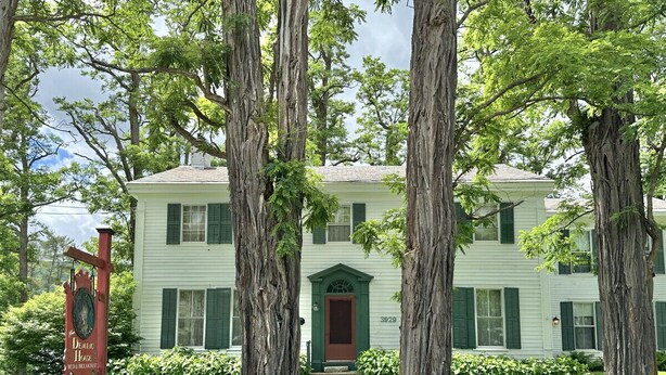 A two-story house with a green door and white siding, surrounded by trees and a well-maintained lawn. - Your next peaceful getaway in Arlington VT! (Arlington)